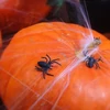 Kép 2/2 - Dekorációs Műanyag pók 10 db