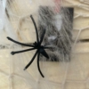 Kép 4/4 - Spider Web Dekorációs pókháló pókokkal