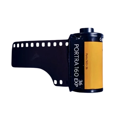 Kodak Portra 160 film 35mm