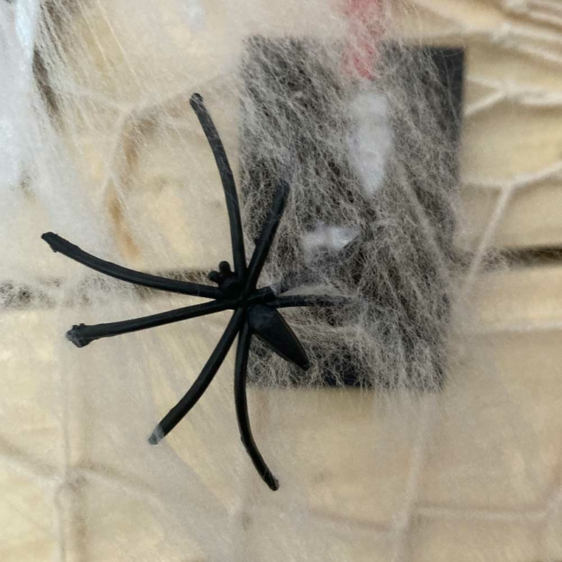Spider Web Dekorációs pókháló pókokkal